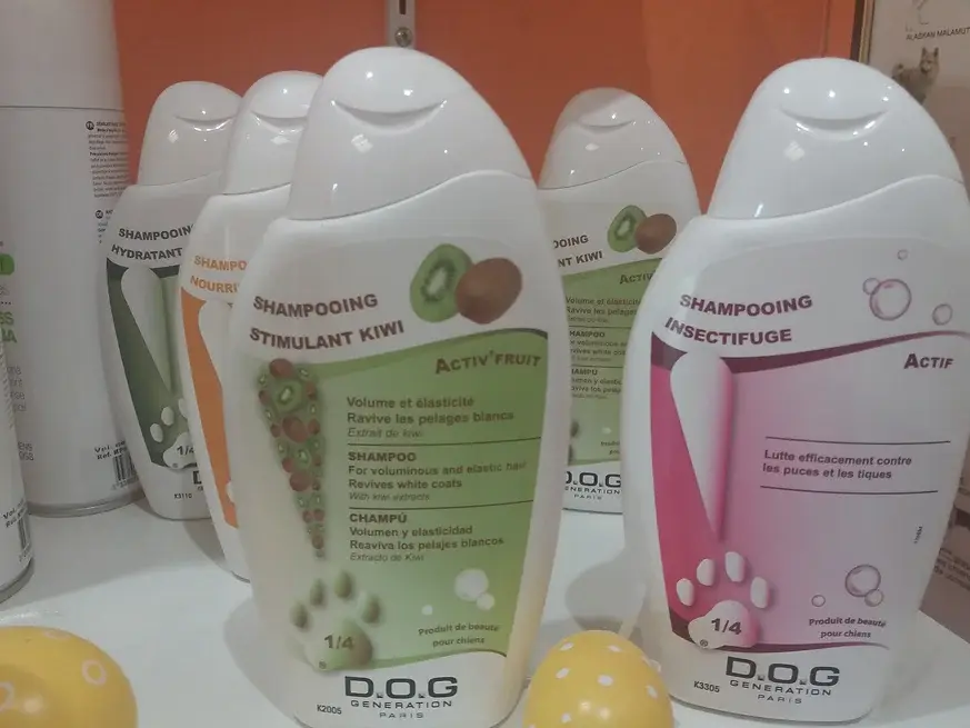 Shampoing Dog