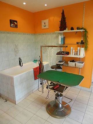 Toilettage_canin - Chez Sylvie (91)